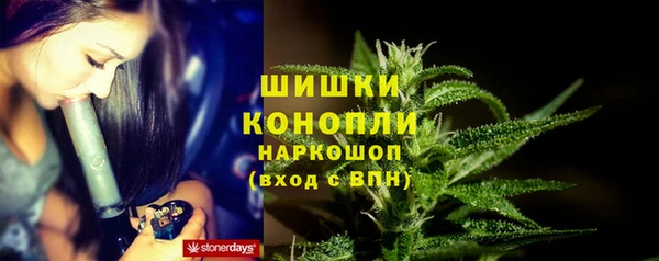 дурь Богородицк