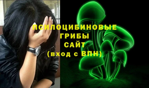 дурь Богородицк