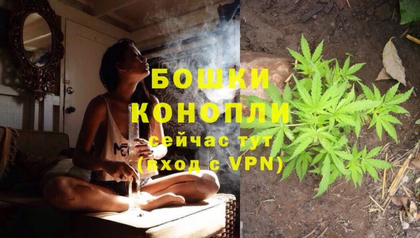 дурь Богородицк