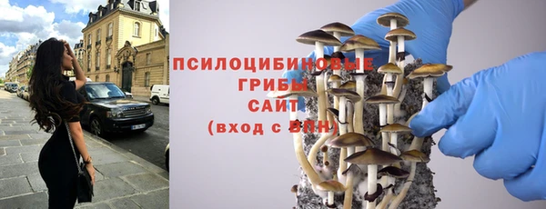 дурь Богородицк