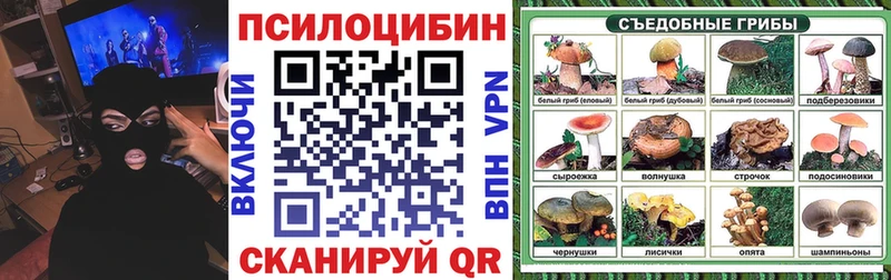 Галлюциногенные грибы Psilocybine cubensis  купить наркоту  Высоковск 